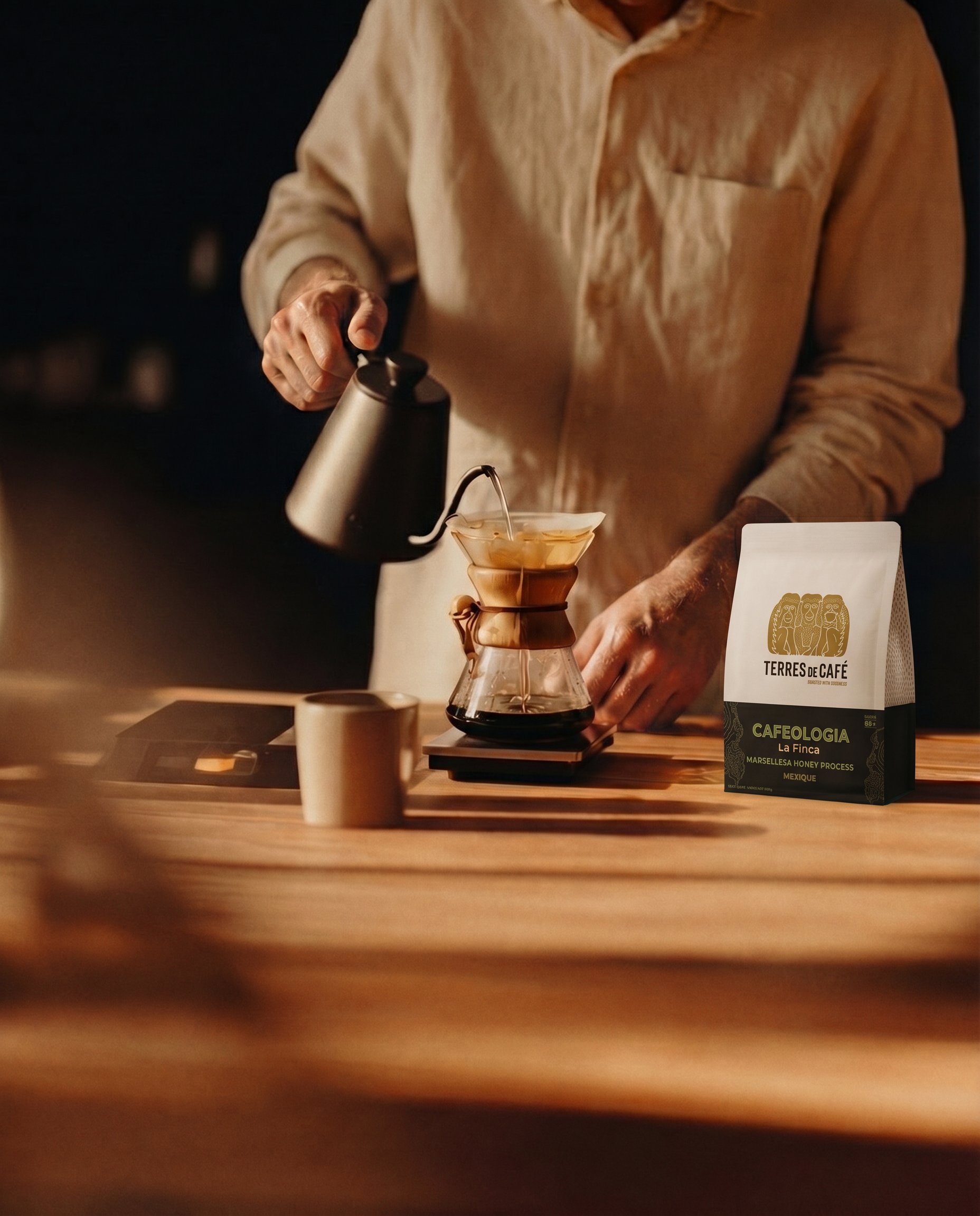 Terres de Café visuel 2
