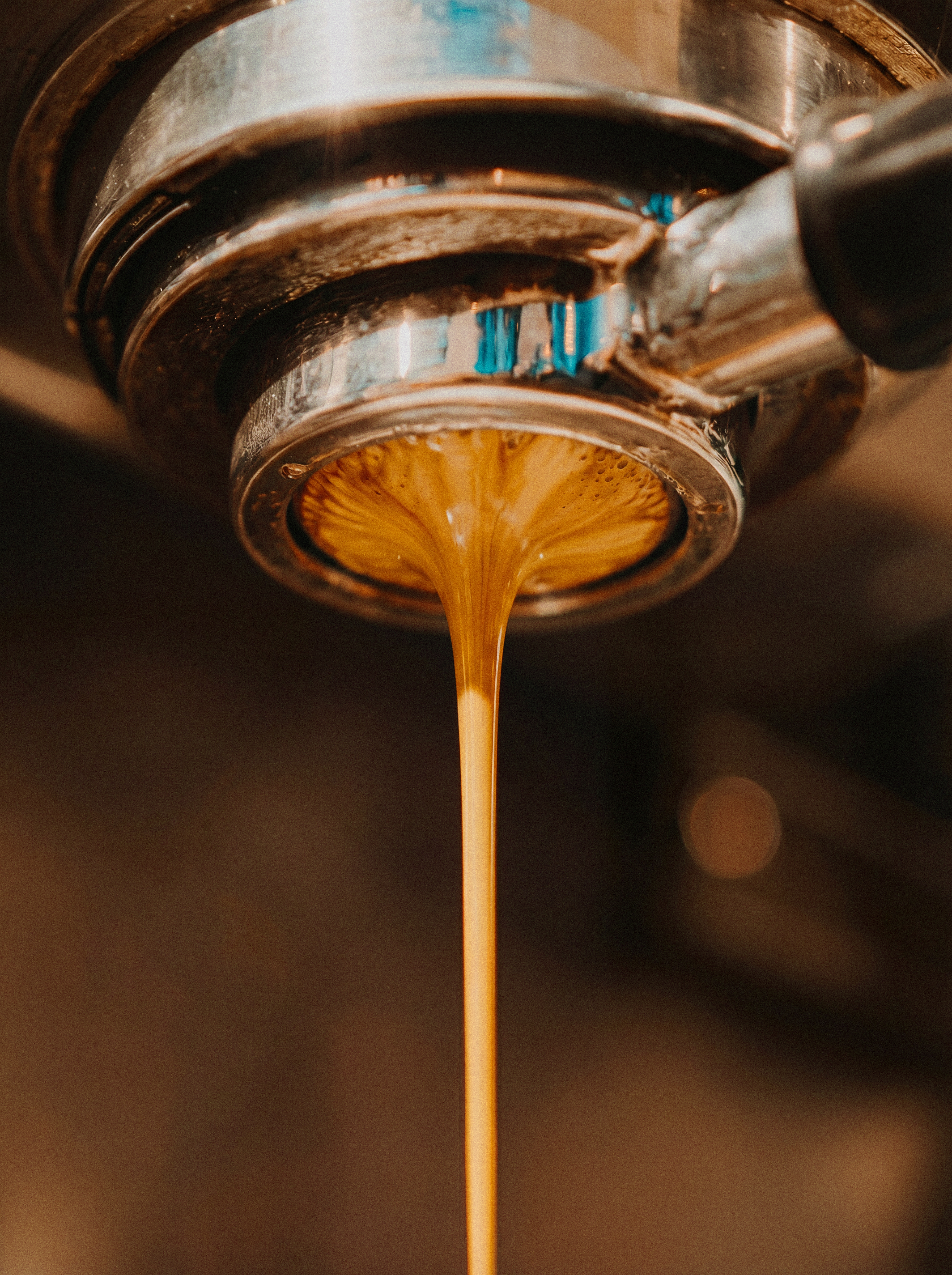Terres de Café visuel 3
